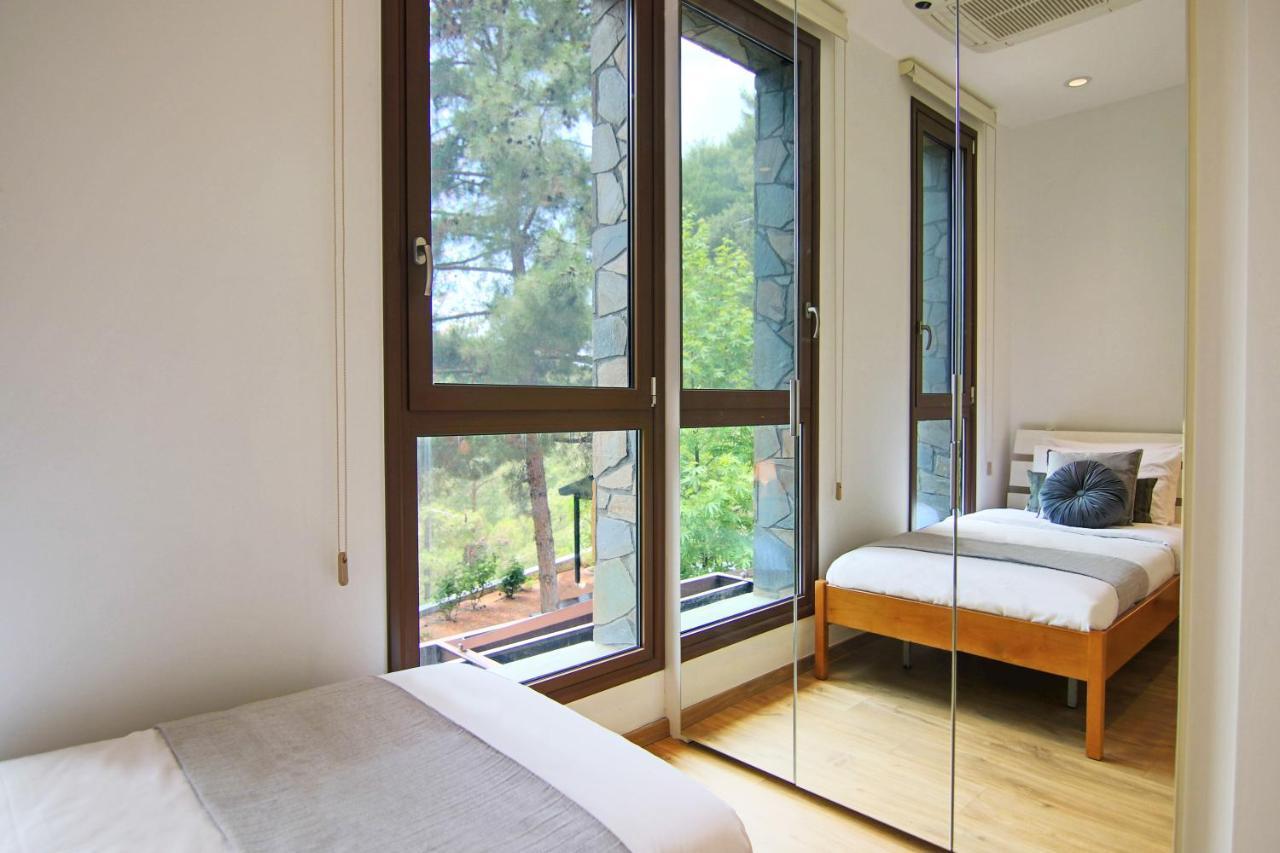 Phaedrus Living: Forest View Luxury Villa Chantara Foini エクステリア 写真