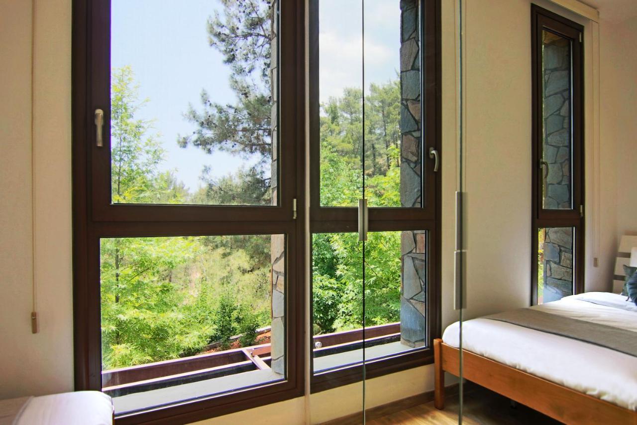 Phaedrus Living: Forest View Luxury Villa Chantara Foini エクステリア 写真